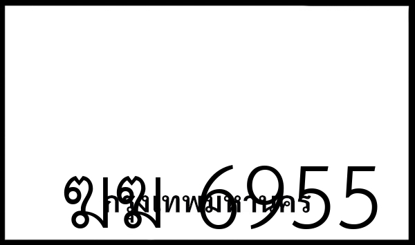 ฆฆ 6955